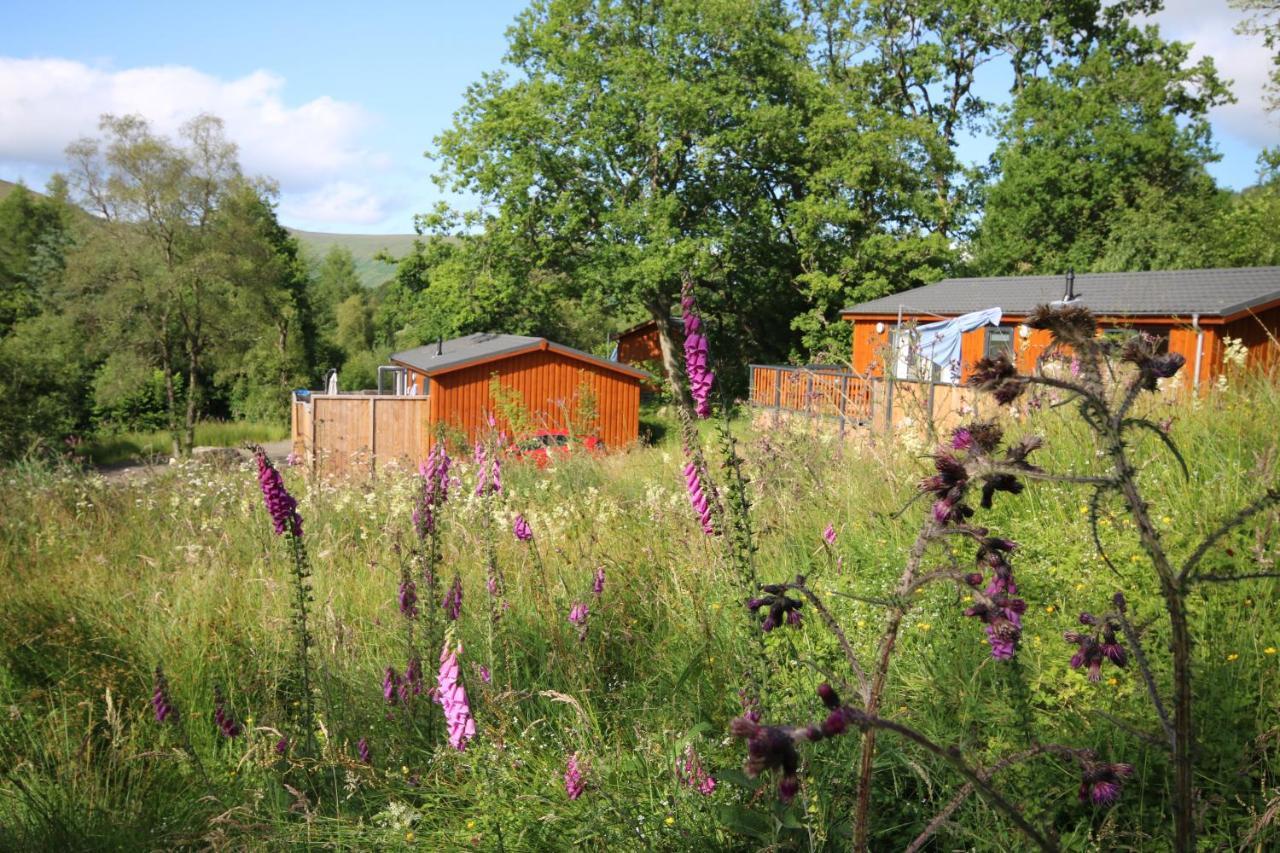 Balquhidder Braes Holiday Park Lodges, Mostly With Hot Tubs And Pet Friendly, Ev Facilities Lochearnhead Exterior foto